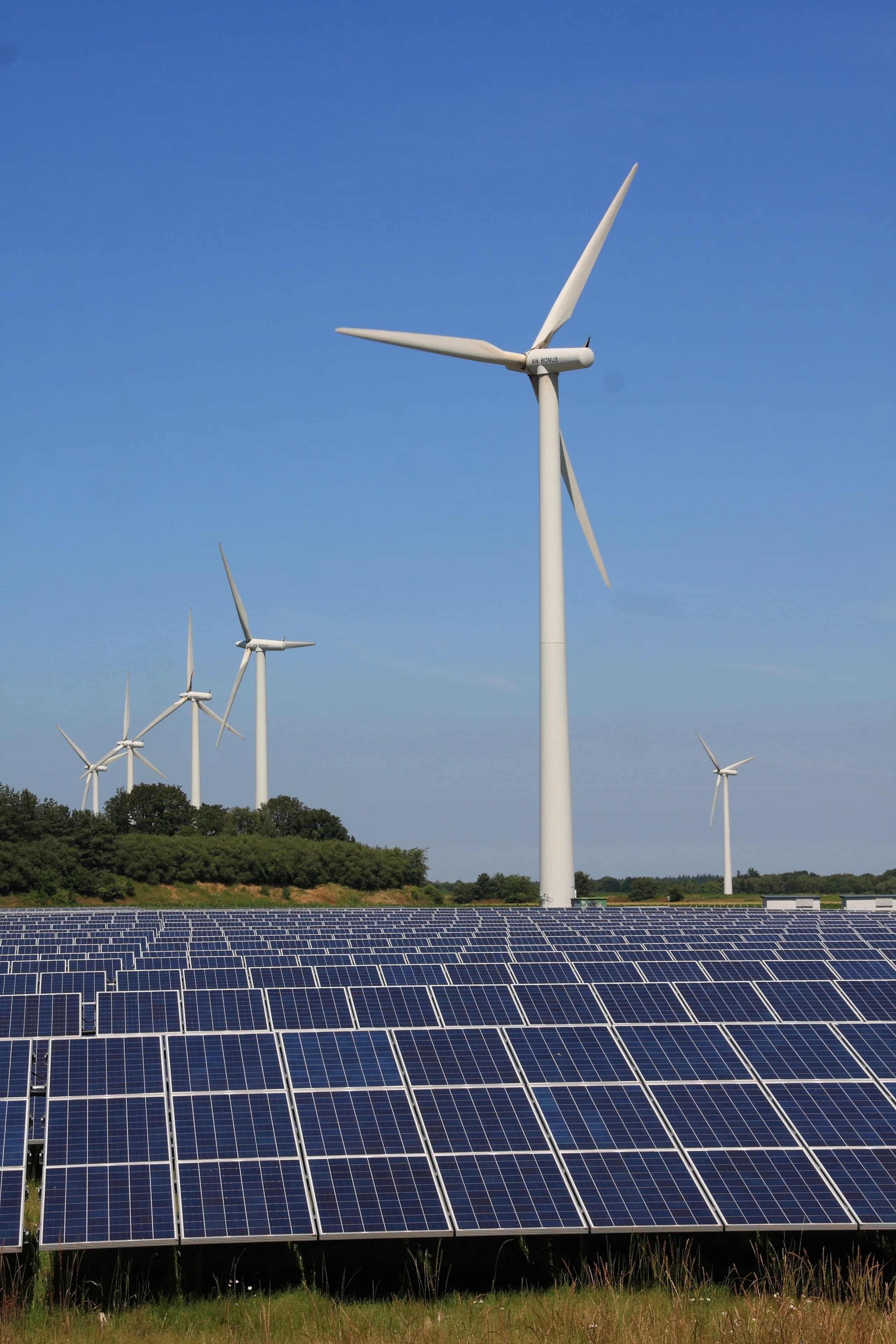 Renewable energy infrastructure with wind turbines and solar panels